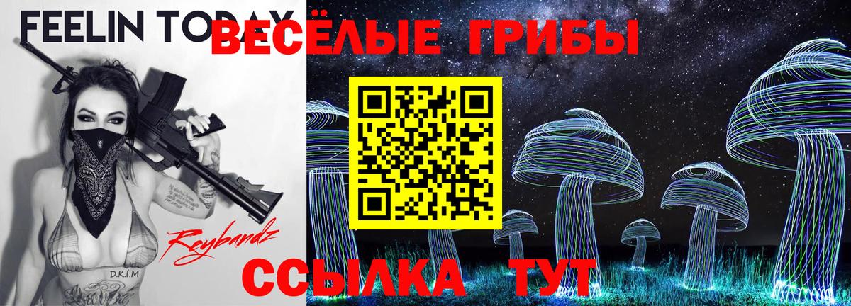 Галлюциногенные грибы GOLDEN TEACHER Лениногорск