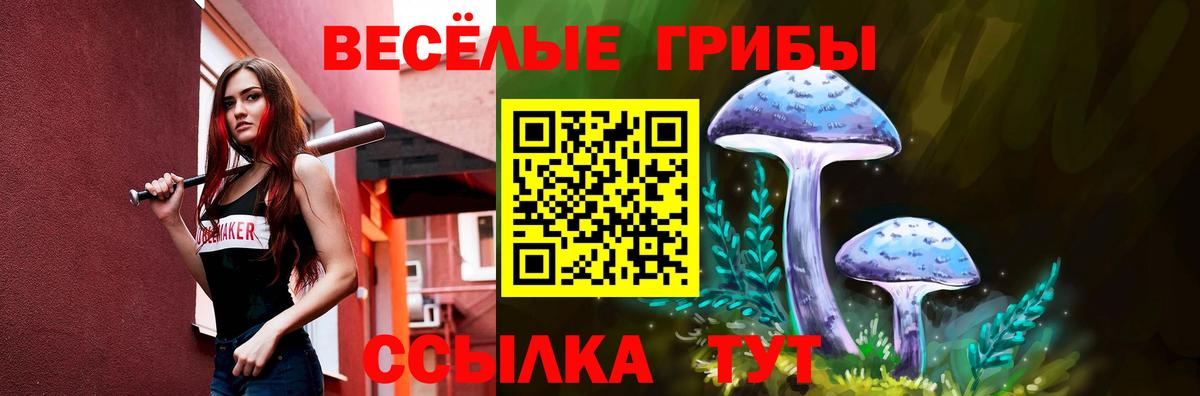 Псилоцибиновые грибы прущие грибы  Вход с VPN  купить   Лениногорск  Псилоцибиновые грибы мухоморы 